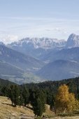 thumbs villanderer alm eine einmalige naturlandschaft 10 Bildergalerie Sommer