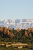 thumbs villanderer alm eine einmalige naturlandschaft 14 Bildergalerie Winter