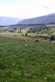 thumbs villanderer alm eine einmalige naturlandschaft 3 Bildergalerie