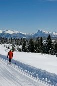 thumbs Langlauf mit Dolomitenpanorama (2) Bildergalerie Winter