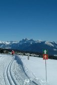thumbs Langlauf mit Dolomitenpanorama Bildergalerie Winter