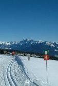 thumbs Langlauf mit Dolomitenpanorama Bildergalerie Sommer