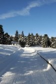 thumbs villanderer alm eine einmalige naturlandschaft 100 Impressioni Inverno