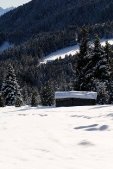 thumbs villanderer alm eine einmalige naturlandschaft 11 Impressioni Inverno