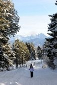 thumbs villanderer alm eine einmalige naturlandschaft 23 Impressioni Inverno