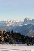 thumbs villanderer alm eine einmalige naturlandschaft 33 Bildergalerie Winter