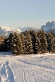 thumbs villanderer alm eine einmalige naturlandschaft 34 Bildergalerie Winter