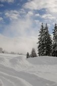 thumbs villanderer alm eine einmalige naturlandschaft 35 Bildergalerie Winter