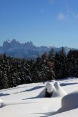 thumbs villanderer alm eine einmalige naturlandschaft 55 Impressioni Estate