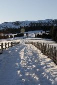 thumbs villanderer alm eine einmalige naturlandschaft 59 Bildergalerie Winter