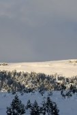 thumbs villanderer alm eine einmalige naturlandschaft 65 Impressioni Estate